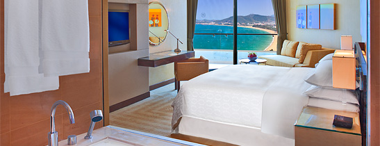 Deluxe Ocean View room