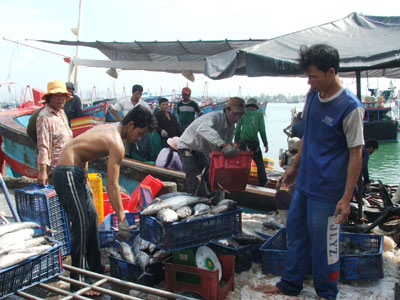 Seafood trading at Hon Ro Port