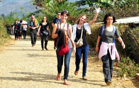 International arrivals to Vietnam rise by 4.6%