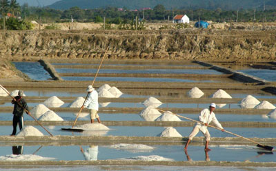 Producing salt in Ninh Diem Ward, Ninh Hoa Town, Khanh Hoa Province.