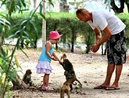 Tourists playing with friendly monkeys.