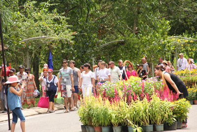 Foreign tourists visiting Yang Bay Tourist Park