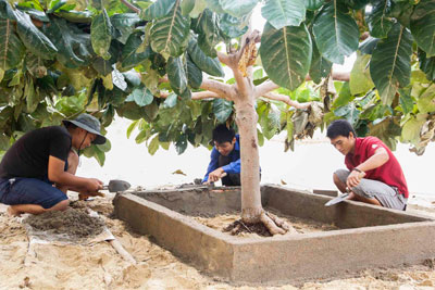 Practical summer program 2014