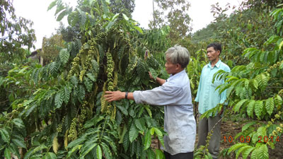Good business of a village patriarch