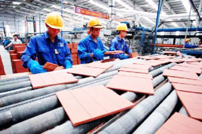 More than 60,000 businesses establish in 10 months