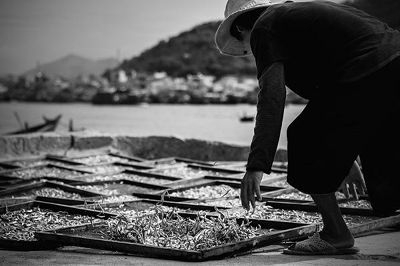 Photo of fish drying in Nha Trang voted as best world food images