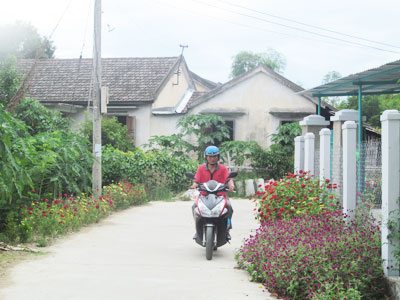 Flower verges add attraction to rural landscape