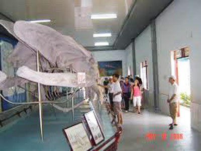 Nha Trang Oceanography Museum enlisted top 10 most-visited museums in Vietnam
