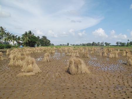 "Climate-smart" villages to be built