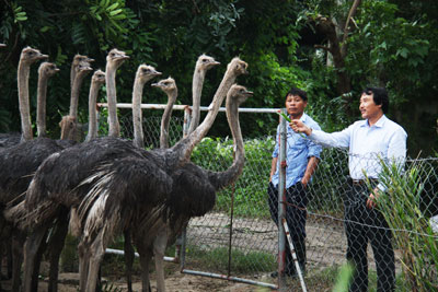 Creative labor movement in Khatoco