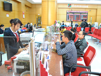 Agribank – Khanh Hoa Branch forwards lending for agriculture and rural development