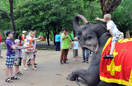 Tourists take photographs with elephants in Hoa Lan Stream Tourist Area