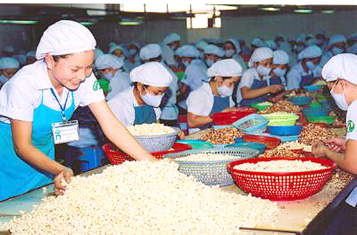 Export turnover hits USD1b