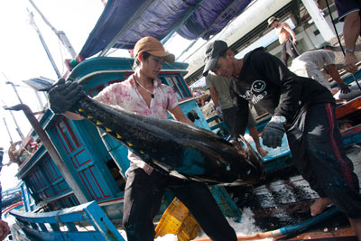 USD146.9 million in export turnover in Jan.