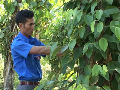 Good example of a youth union member