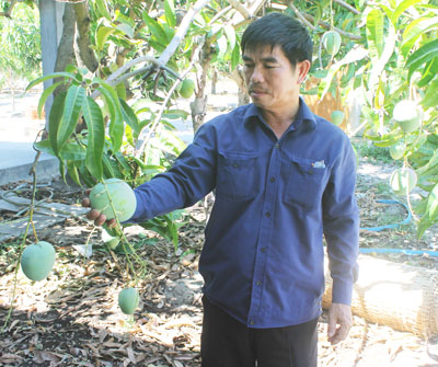 Farmer Ngo Trong