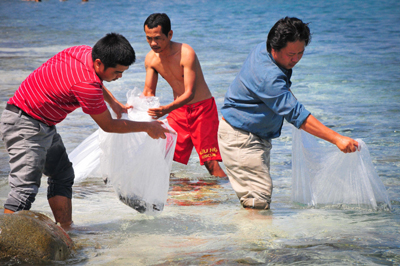 1,200 offspring released into sea