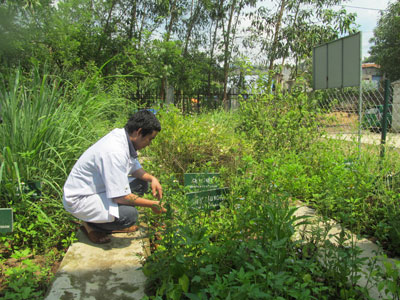 Model Southern herbal garden built