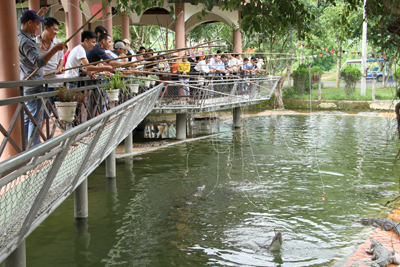 Fishing crocodile.