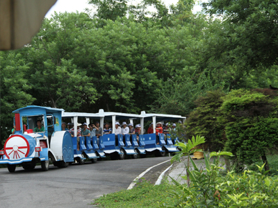 “Train” carrying tourists to entertainment spots.