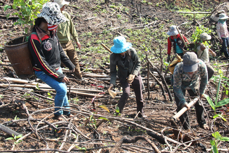 Planting preventive forest on the peak of Da Rao.