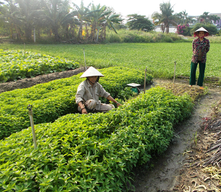 Child care and education awareness raised