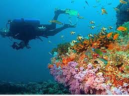 Intervention transfer workshop