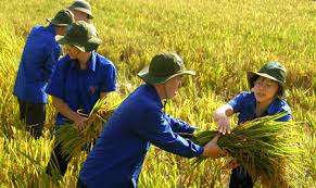 Khanh Hoa Youth Union affiliations take 63 charity trips