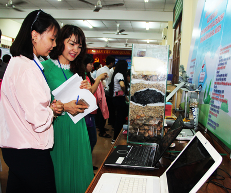 Creative environmental solutions