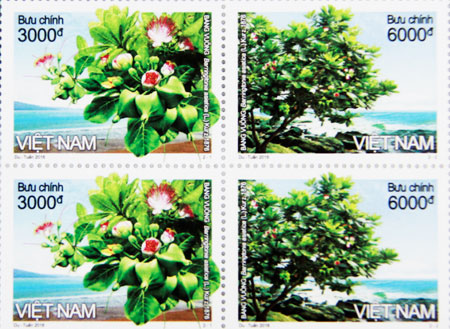 “Barringtonia asiatica” stamp set released in Nha Trang on April 2, 2016.