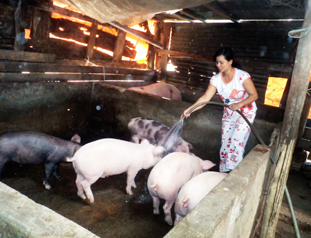 Controling banned substances in breeding is attached importance in inspections.