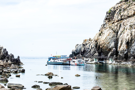 Hon Noi salangane island