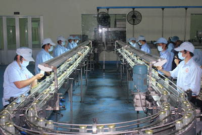 Producing bird nest drink at Khanh Hoa Salanganes Nest Company