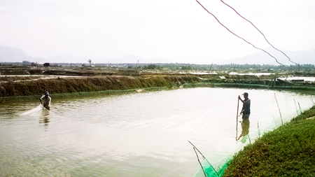 Farmers supported to escape from poverty