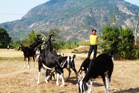 More than VND5 billion supports farmers