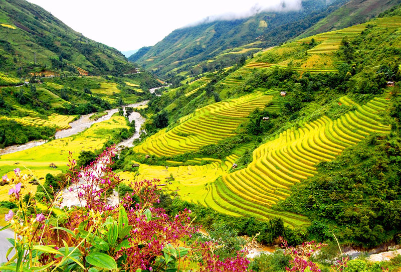 Three destinations in Vietnam named among 50 most beautiful places in Asia