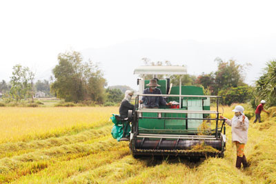 28 communes expected to reach new rural area standards in 2016