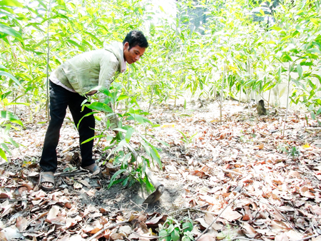 Policy credit helps poor households in farming.