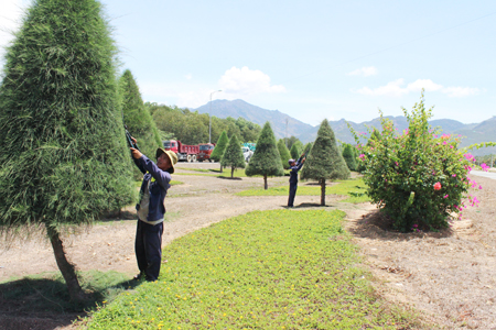 Adding green attraction to Nguyen Tat Thanh Avenue