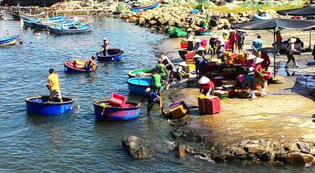 Seafood is transported by bamboo basket boats.