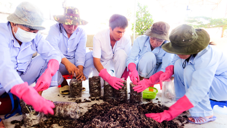 Daytime mental hospital model developed in Nha Trang