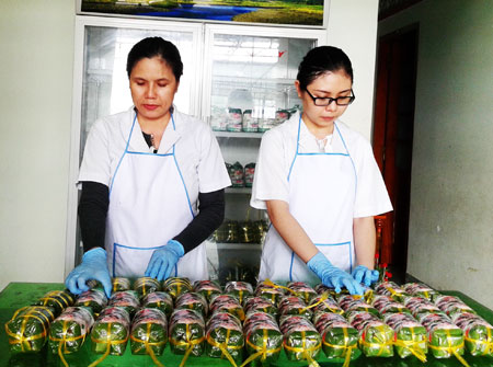 Typical rural industrial products to be improved quality more