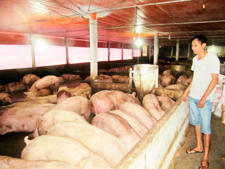 Target at sustainable livestock production