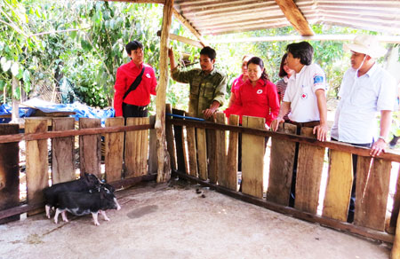 Livelihood support program contributes to poverty alleviation