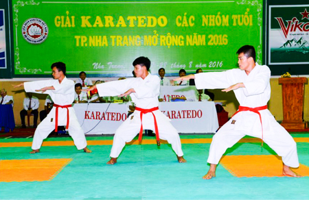 Nha Trang City karate open tournament for age groups