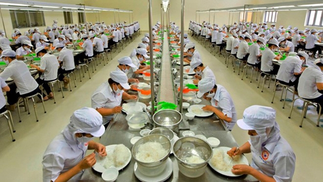 Khanh Hoa Salangane Nests Company to invest 5 big projects