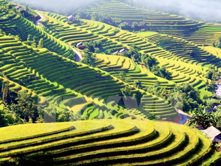 German television makes film about Vietnam