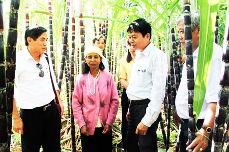 Leaders of Ethnic Group Section – Khanh Hoa Provincial People’s Council visit a production model in a mountainous area.