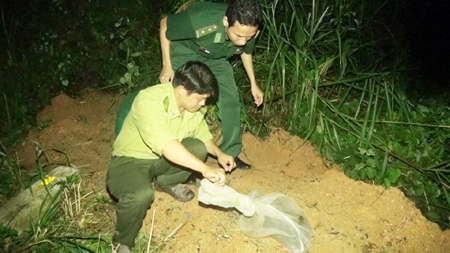 9 wildlife individuals released into nature