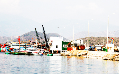 Khanh Hoa big fishery center to be built in Cam Ranh City